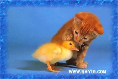 chof_weskot           omad9ola 7eta nwa7id awla........